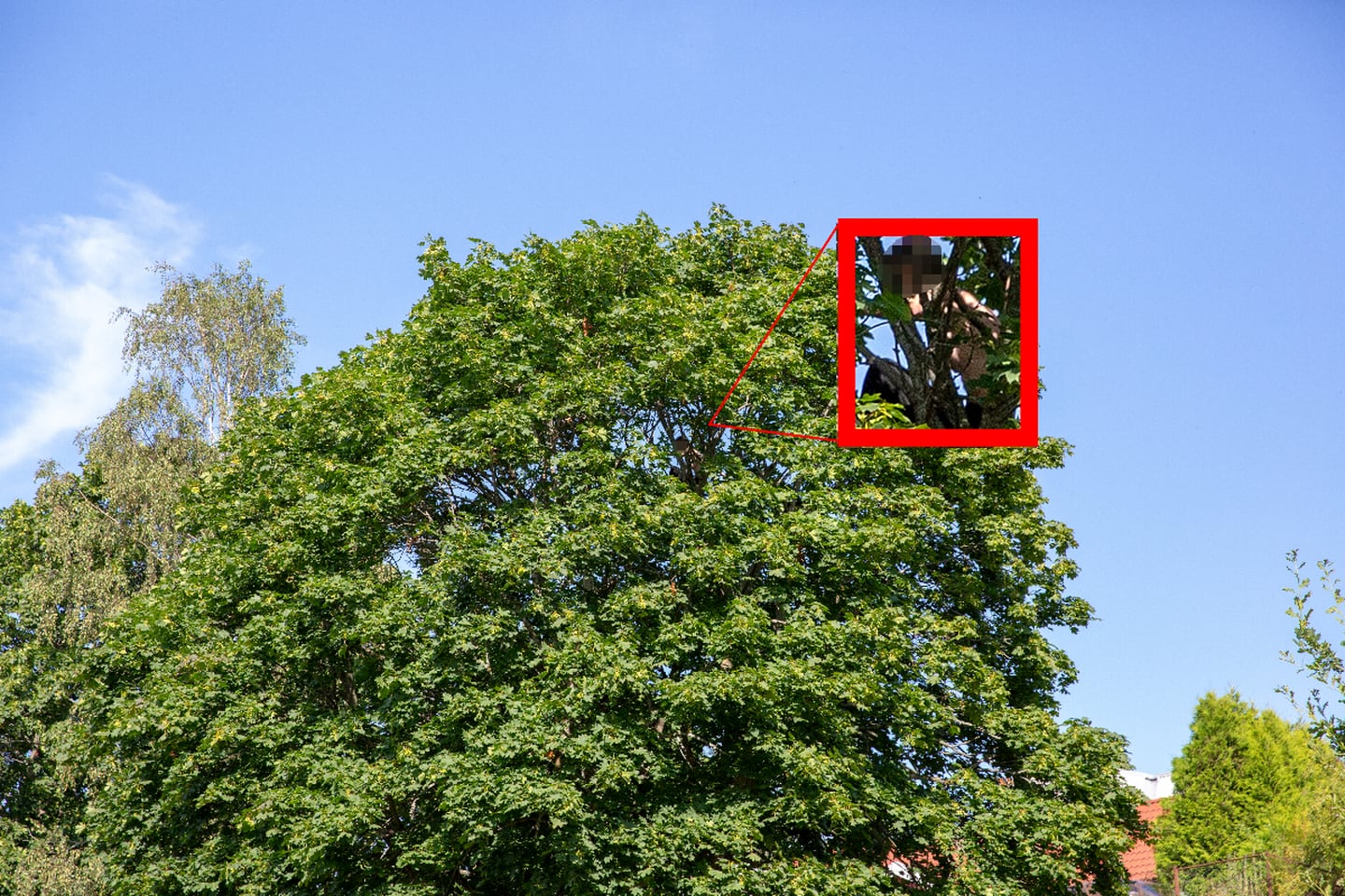 Mannen beveget seg mye i treet, og politiet fryktet han skulle falle.