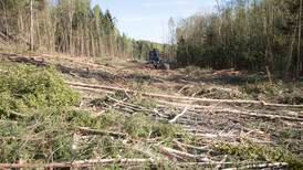 Dårlig utvikling i norske skoger