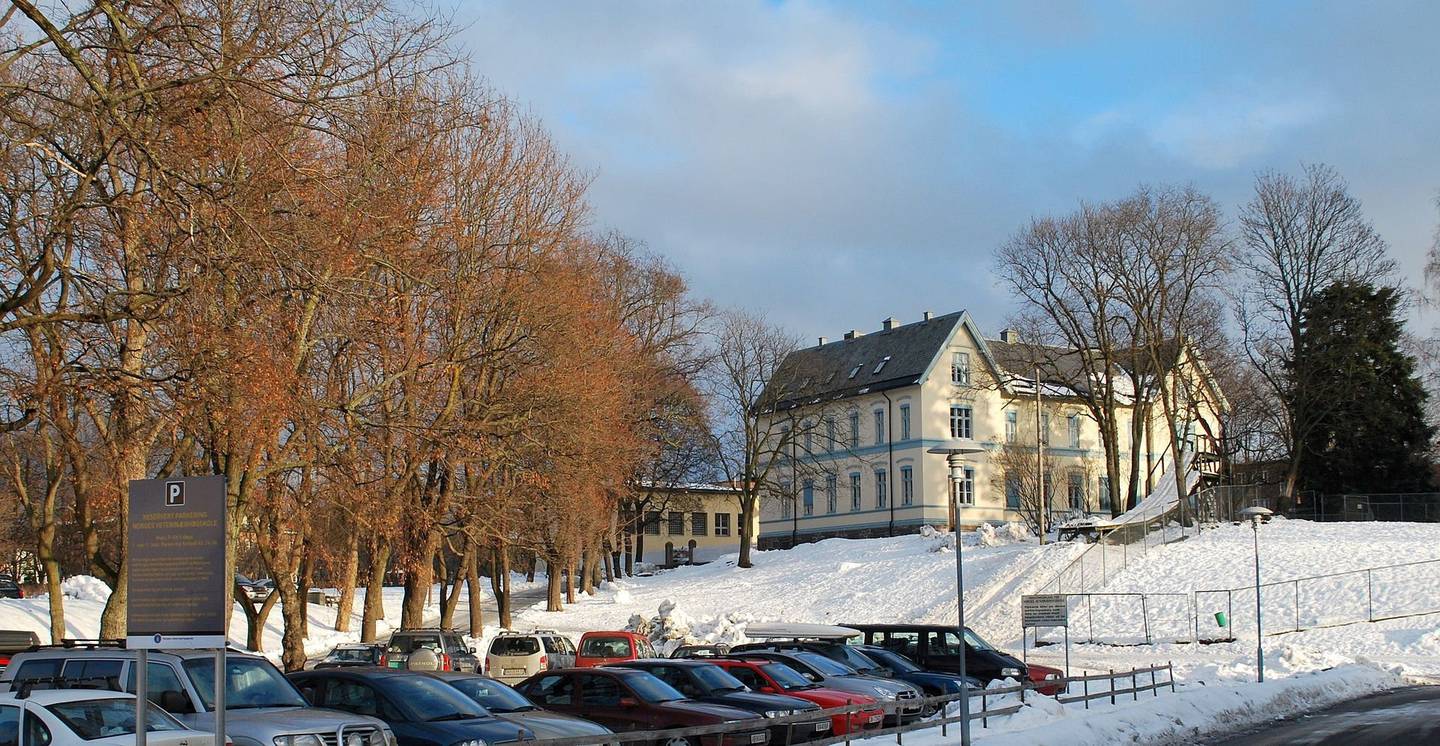 Geitmyra skole fra 1904 og Lindern skole fra 1975 i Thulstrups gate 3. I dag har Norges veterinærhøgskole lokaler her. Huset er på Byantikvarens gule liste over fredede og bevaringsverdige hus.