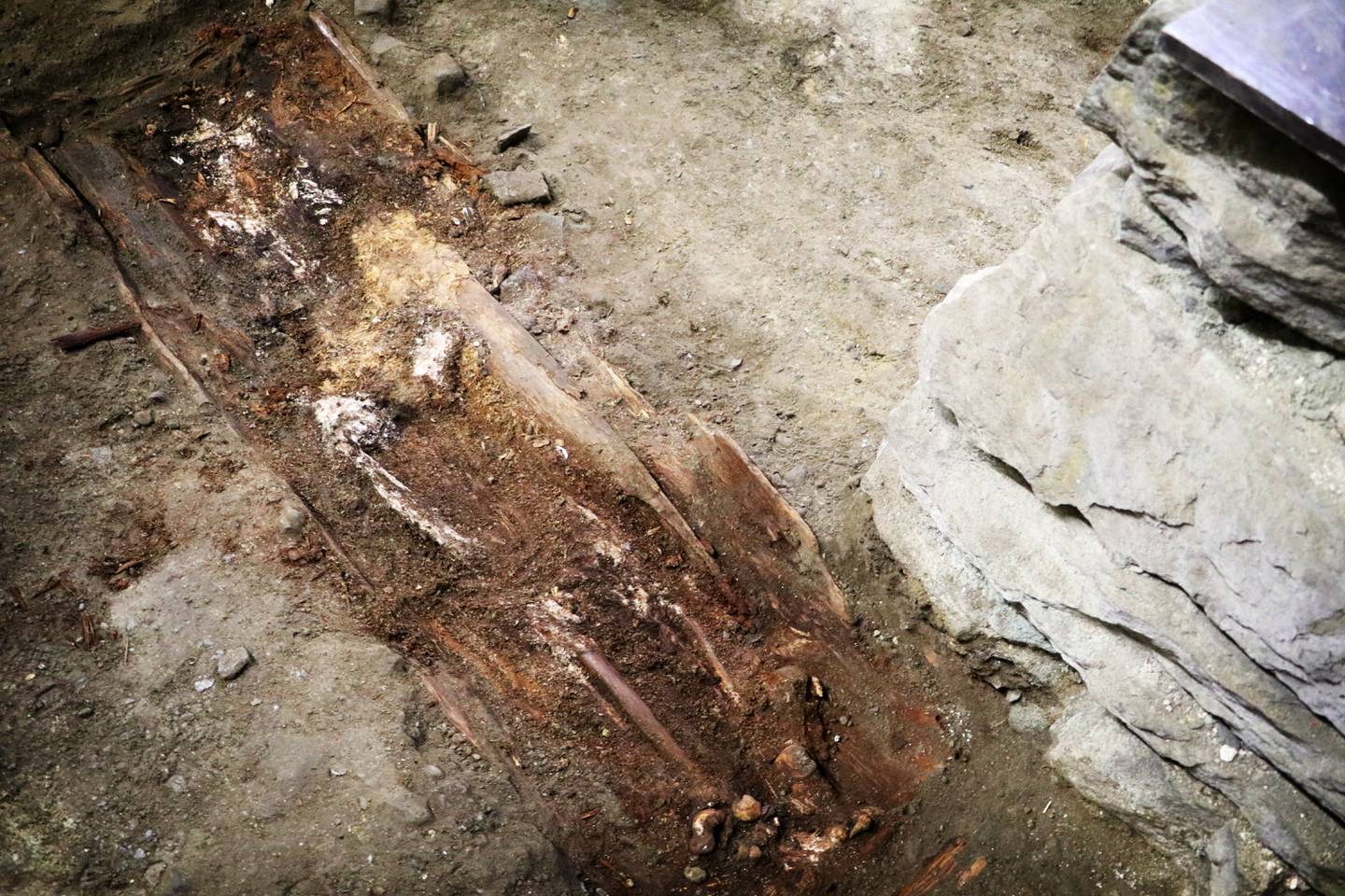 De arkeologiske undersøkelsene av Stavanger domkirke er godt i gang. Arkeologene har funnet flere gjenstander og gamle levninger etter mennesker og dyr.