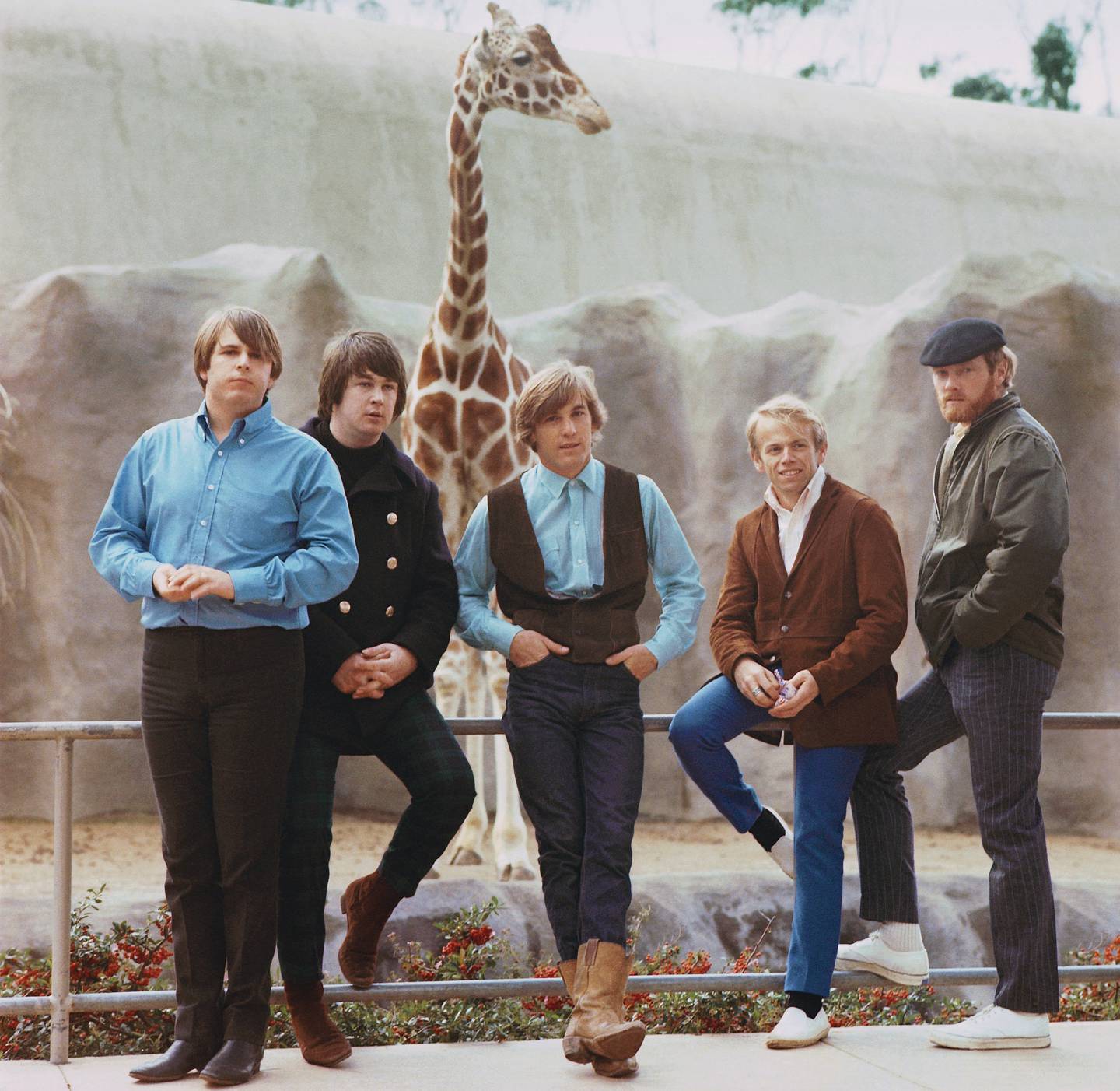 Beach Boys møter dyrene i 1966: Carl, Brian og Dennis Wilson, al Jardine og Mike Love.