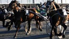 Stavanger størst på hest 