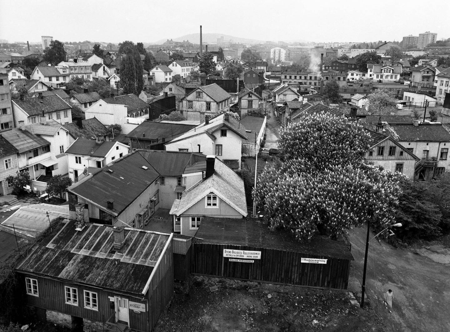 På 1960-tallet var Rodeløkka fortsatt et sammensurium av bakgårder, gjerder og trehus med staller, utbygg, påbygg, boder og utedasser. Foto: Storløkken/Aktuell/NTB