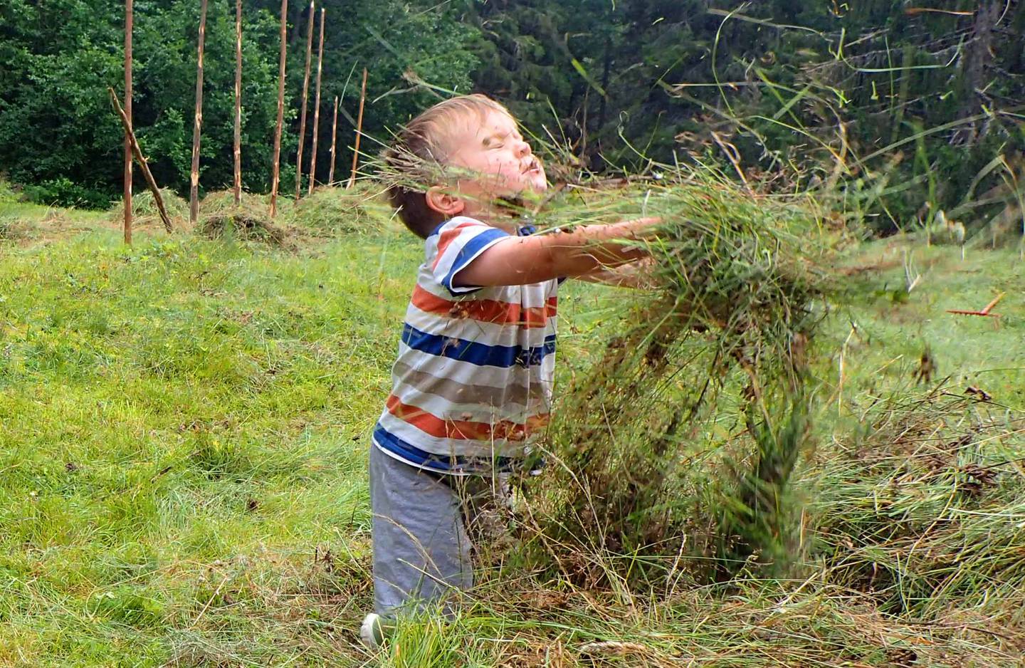 Emil Sørensen (3) fikk kanskje ikke gjort så mye nytte for seg, men å kaste gresset høyt opp i lufta var morsomt.