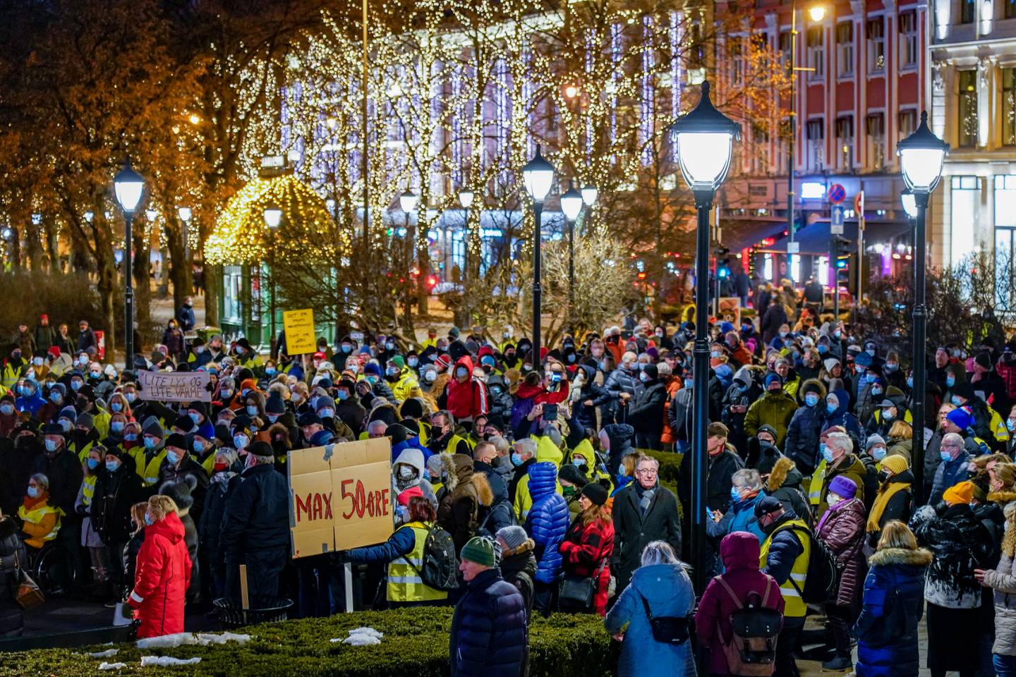 En demonstrasjon i regi av "Vi som krever billigere strøm” utenfor Stortinget i januar.