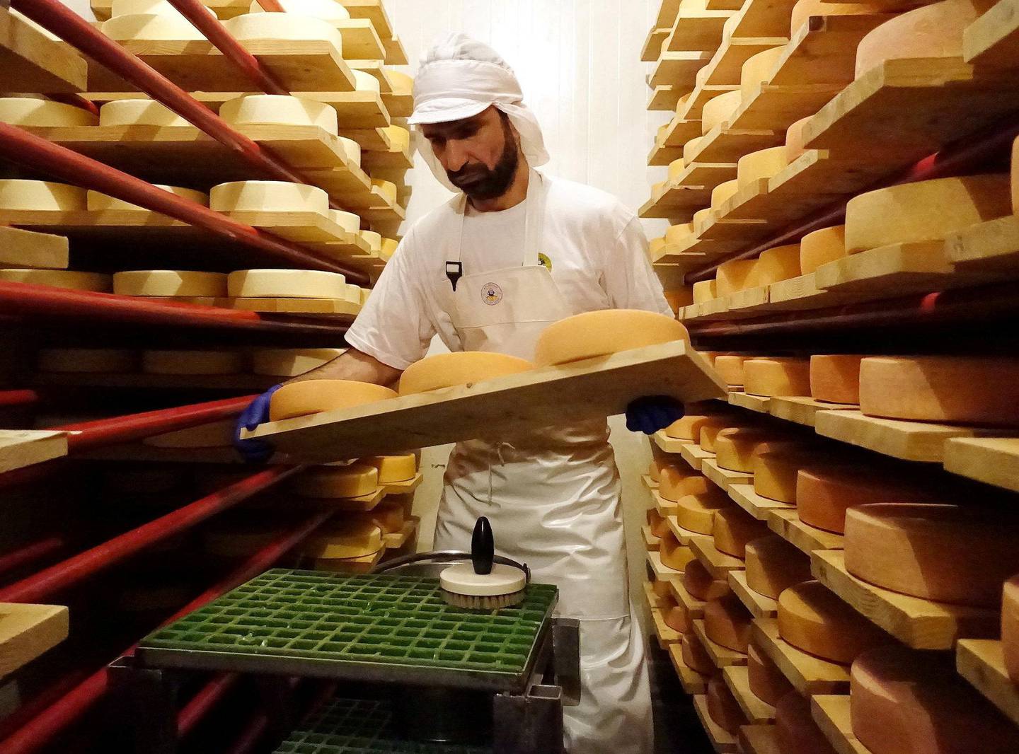 Eiker Gårdsysteri produserer noen av landets beste oster, inkludert en helt spesiell gruvelagret ost. FOTO: TRUDE HENRICHSEN
