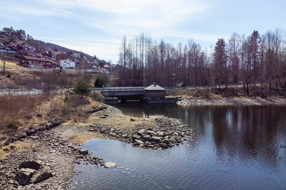 Vannstanden i Maridalsvannet, som er drikkevann for de fleste av Oslos innbyggere, har vært lav i år. Her fra april. Foto: Håkon Mosvold Larsen / NTB