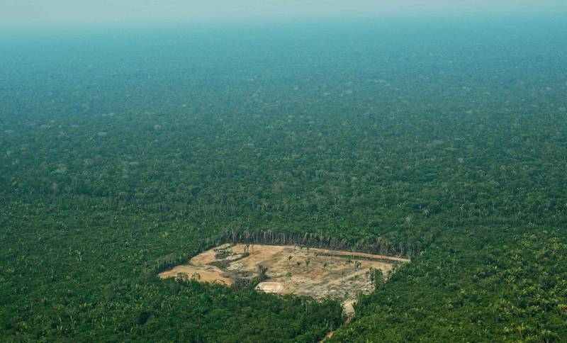 Tapet av artsmangfold er størst i Mellom- og Sør-Amerika, ikke minst fordi mye regnskog, som her i Brasil, forsvinner både med og uten myndighetenes velsignelse.
