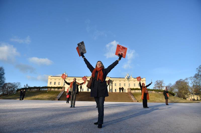 Støtteaksjonen for Y-blokka var allerede fredag ute foran Slottet for å få de nye statsrådenes oppmerksomhet.                                                         Foto: Fredrik Varfjell / NTB scanpix