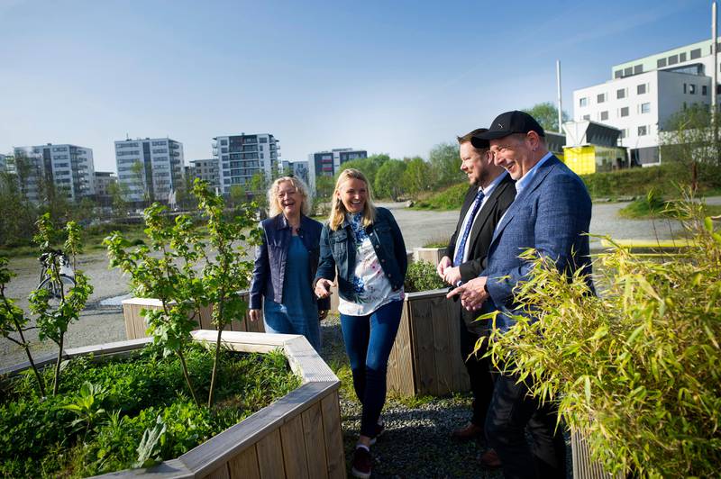 Den nye parken i Lervig i Stavanger skal stå klar i september i år. 

F.v.: Grete Kvalheim (Frp), Anne Kristin Bruns (KrF), Erlend Jordal (Høyre) og Roar Houen (Venstre). 

Lervigparken
