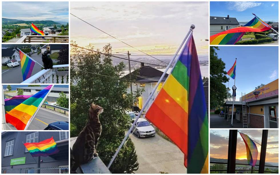 Det skal godt gjøres å finne en gate på Åskollen uten pride-flagg. Her er noen av flaggene som deles på sosiale medier fra bydelen.
