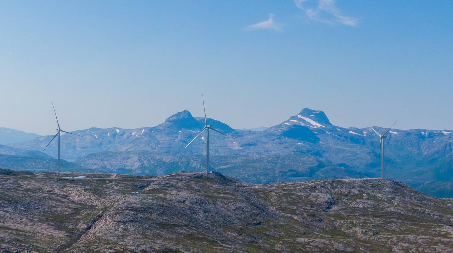 Det bygges opp til nok en strid mellom vindkraftindustrien og beitenæringen. Denne gang ved Øyfjellet i Vefsn kommune i Nordland.
