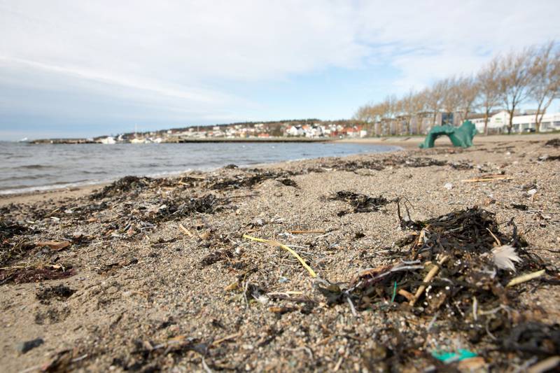 SJØBADET: Det er fortsatt en god del plastfibre og mye annen søppel på Sjøbadet i Moss.