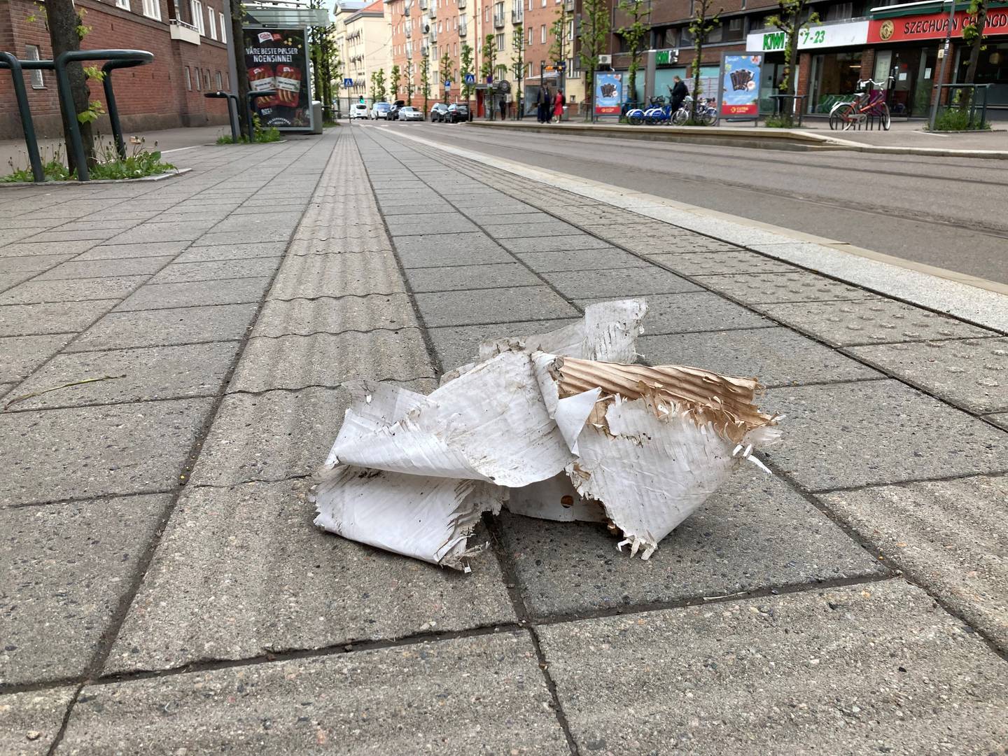 Hverdagsforsøpling et stort problem i Bergen, ifølge Kamilla Bischof, leder for Juridisk seksjon i Bymiljøetaten der. Foto: Tor Sandberg