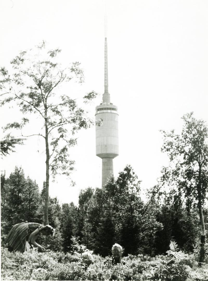Det har vært protester fra turgåere mot jakt i Oslomarka fra 1916. Her bærplukkere ved Tryvannstårnet.