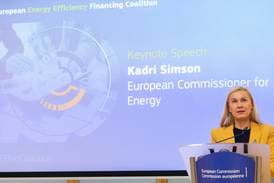 23 norske aktører: Ber EU presse Norge til å innføre direktiv om energieffektivisering