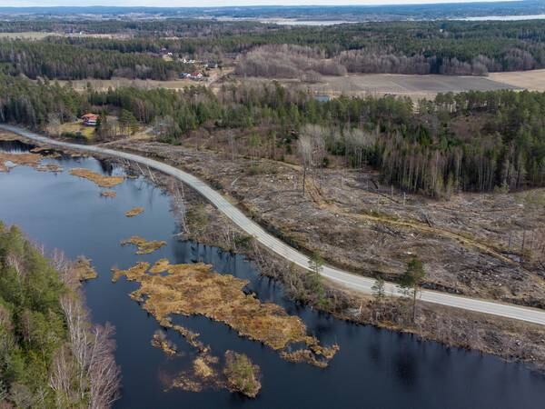Moss kommune dømt for å ha fjernet over 500 trær fra naturreservat