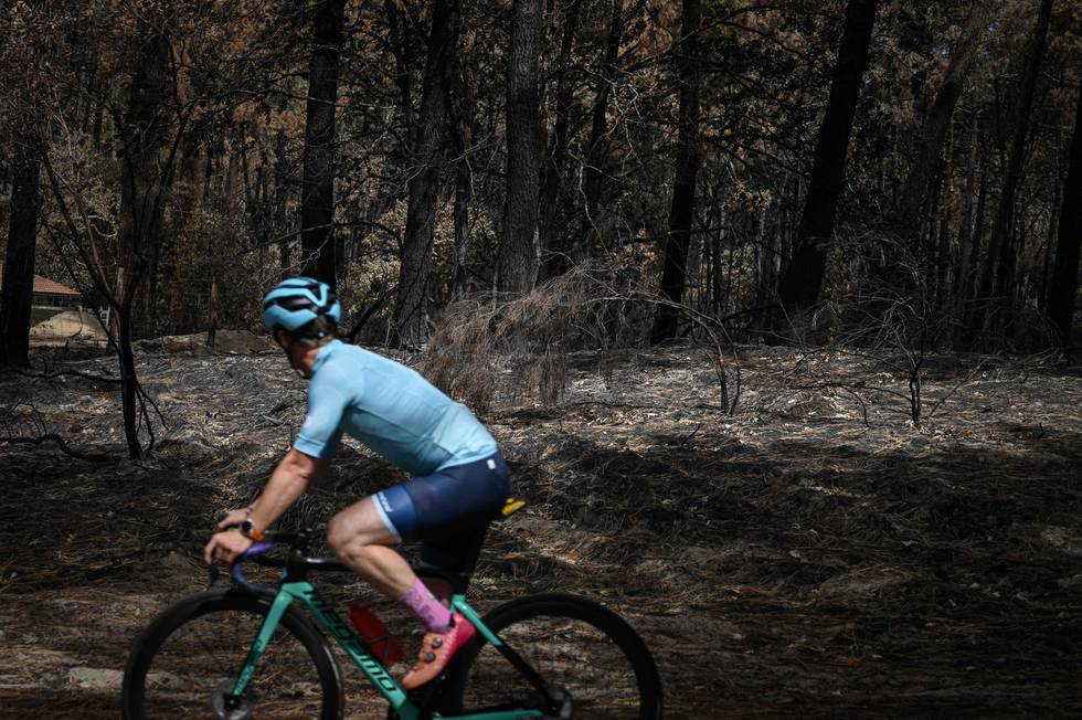A man rides a bicyle past burnt trees on July 26, 2022 in a forest ravaged by a wildfire near La Teste-de-Buch in Gironde, southwestern France. (Photo by Philippe LOPEZ / AFP)