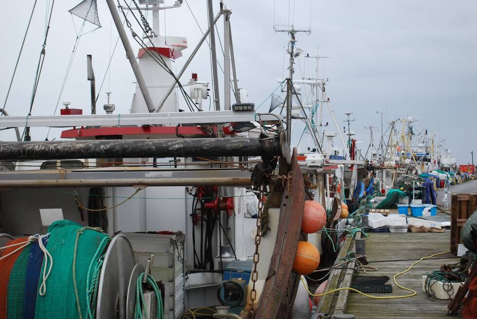 «Det er helt klart at fiskeflåten på kort og mellomlang sikt er helt prisgitt kostnadene på drivstoffet. Fra 2020 til i dag har prisene økt med mer enn 300 prosent.»