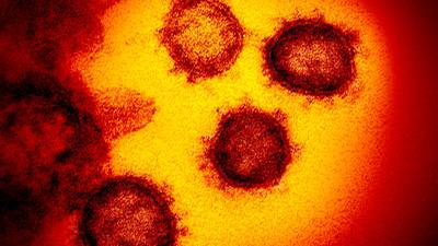 WHO: Ekstremt usannsynlig at koronaviruset kom fra et laboratorium