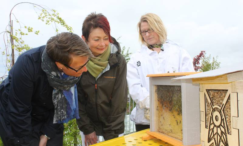 Miljøvernminister Tine Sundtoft åpnet i går verdens første pollinatorpassasje. I midten direktør for Det Norske Hageselskap Tove Berg og Anne Sofie Hansen i ByBi.  FOTO: TOM VESTRENG
