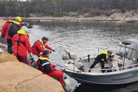 Oslofjorden ryddet for 30 tonn søppel i hytteparadis