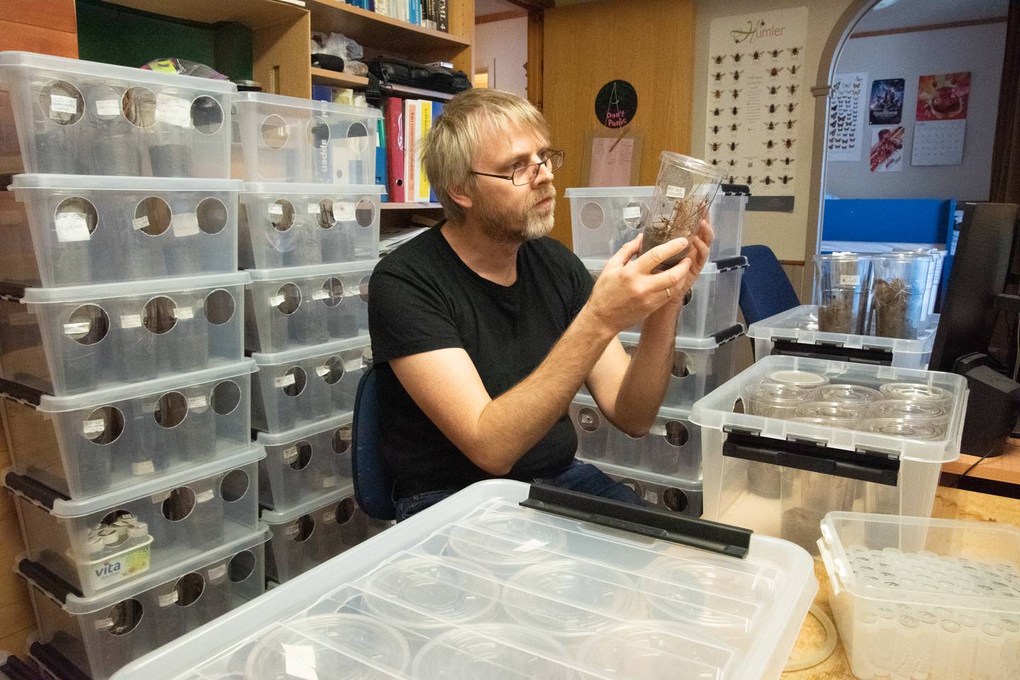 Insektforsker Hallvard Elven ved Naturhistorisk museum forsker på mygg på hjemmekontor.