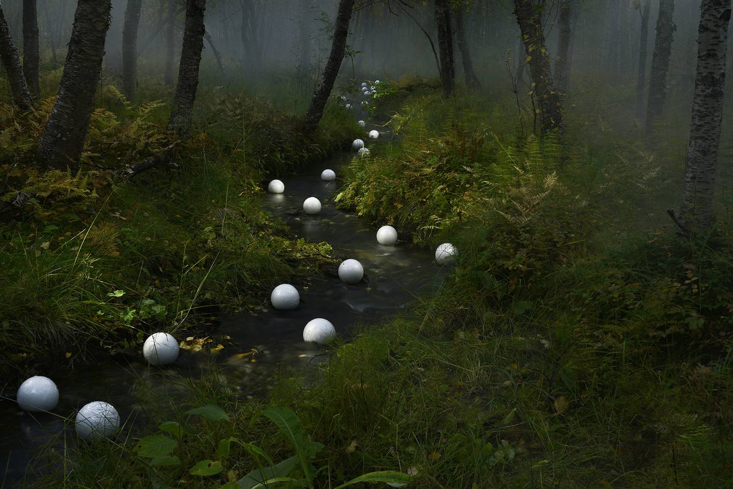Gjert Rognli bruker led-lys og giftfrie fargestoffer for å skape de stillferdig dramatiske fotografiene i serien «Dan maid luondu diehtá – What nature knows».