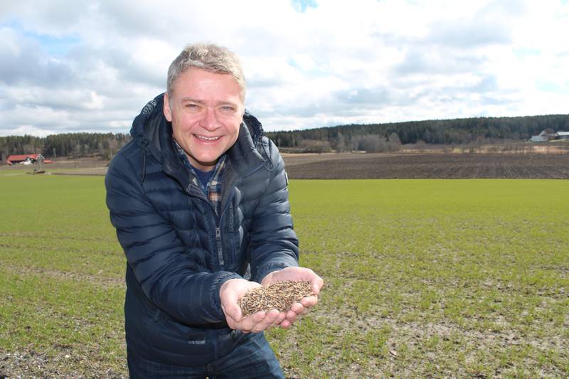 Johan Anstensrud startet å dyrke svarthavre på gården i Våler i 2014. Nå vil han eksportere den til utlandet.