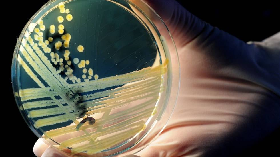 Overforbruk av antibiotika under pandemien: – Skaper kun problemer