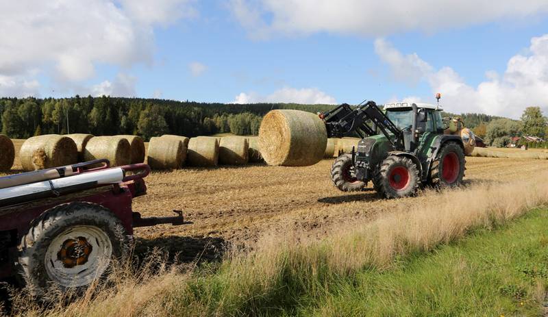 Siden årtusenskiftet har det norske landbrukets andel av statsbudsjettet blitt mer enn halvert. FOTO: NTB SCANPIX