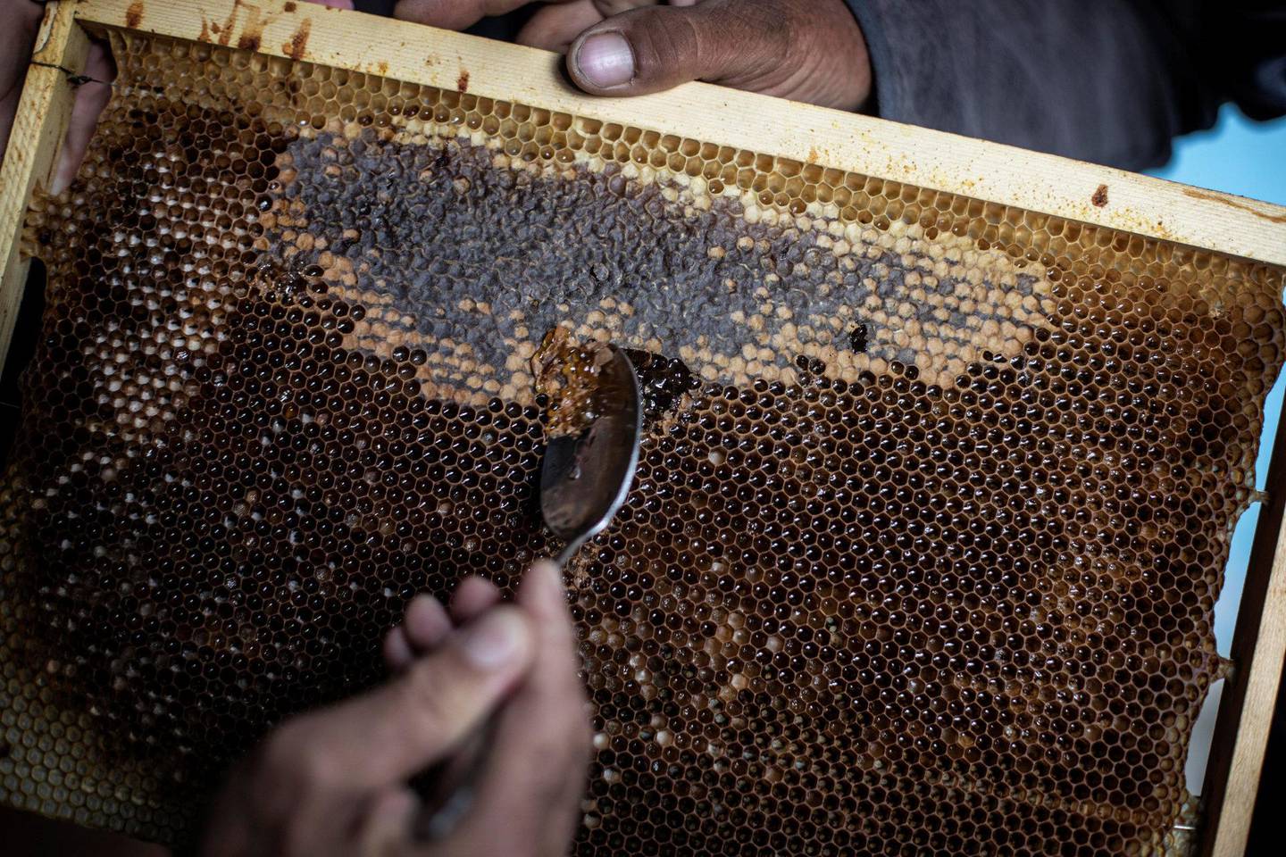 Qumry og mannen lager og selger nok honning til et godt liv.