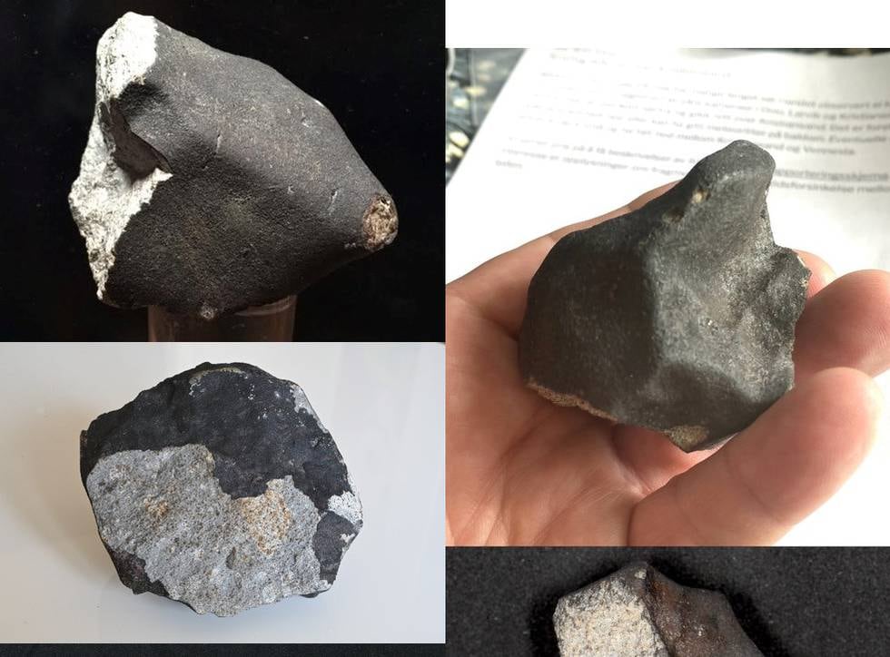 Her er et utvalg av typiske meteoritter. Bemerk den store variasjonen i form og struktur.