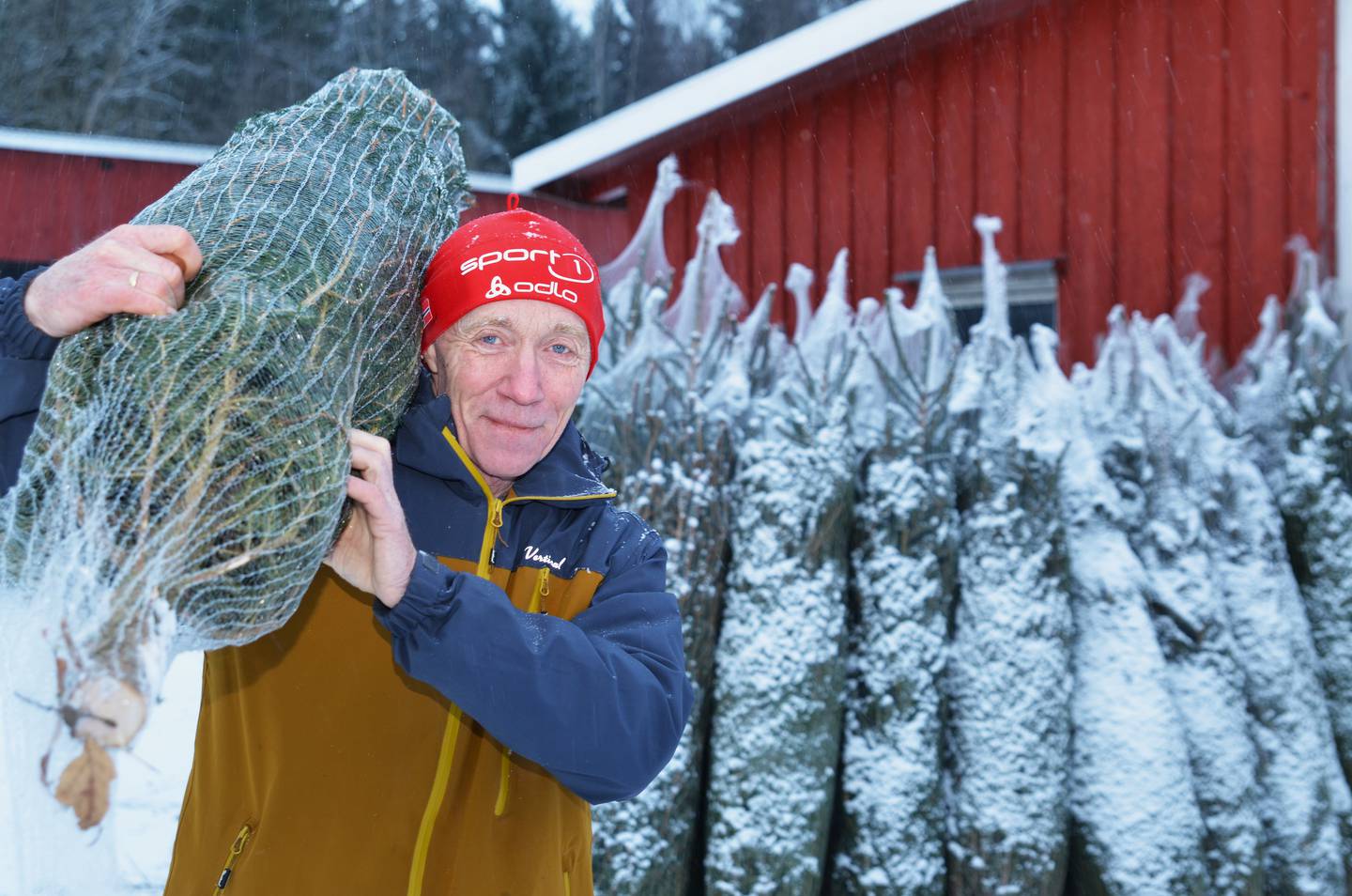 Atle Røed leverer utallige juletrær til hele Østlandet. Mange av dem selges i Oslo.