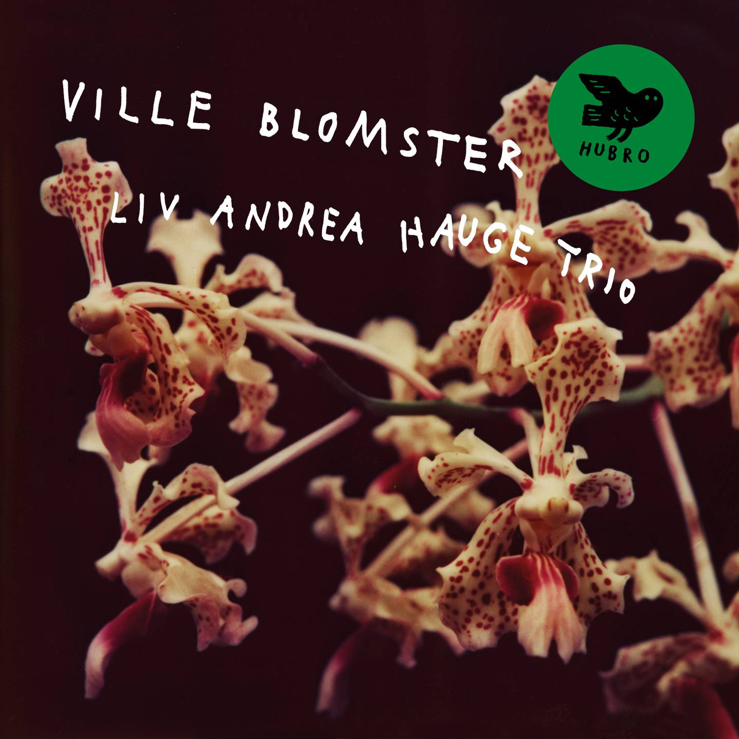 Liv Andrea Hauge Trio: Ville blomster