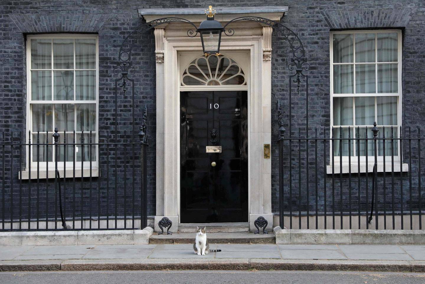 HUSKATT: Katten Larry bor i Downing Street 10, og har for øyeblikket selskap av Theresa May. Men om hun får gjennom sin brexitavtale, flytter hun ut. FOTO: ISABEL INFANTES/NTB SCANPIX