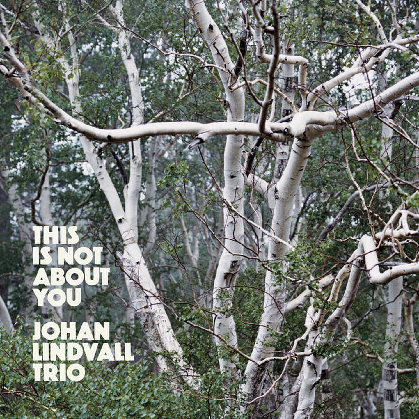 Johan Lindvall Trio: "This Is Not About You"
