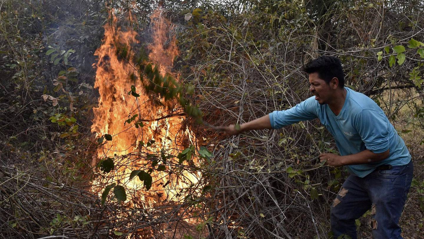 Bolivia: Det er ikke bare i Brasil at Amazonas brenner. Her forsøker en frivillig å slukke en brann i Bolivia.FOTO: NTB SCANPIX