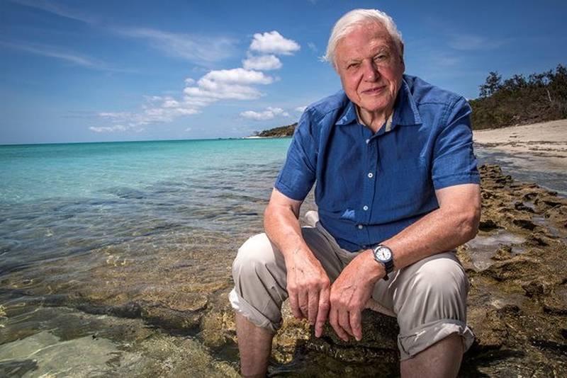 Sir David Attenborough, som forøvrig fylte 90 år i helgen, har laget en større dokumentarserie om Great Barrier Reef. Serien sendes på søndager på NRK1.