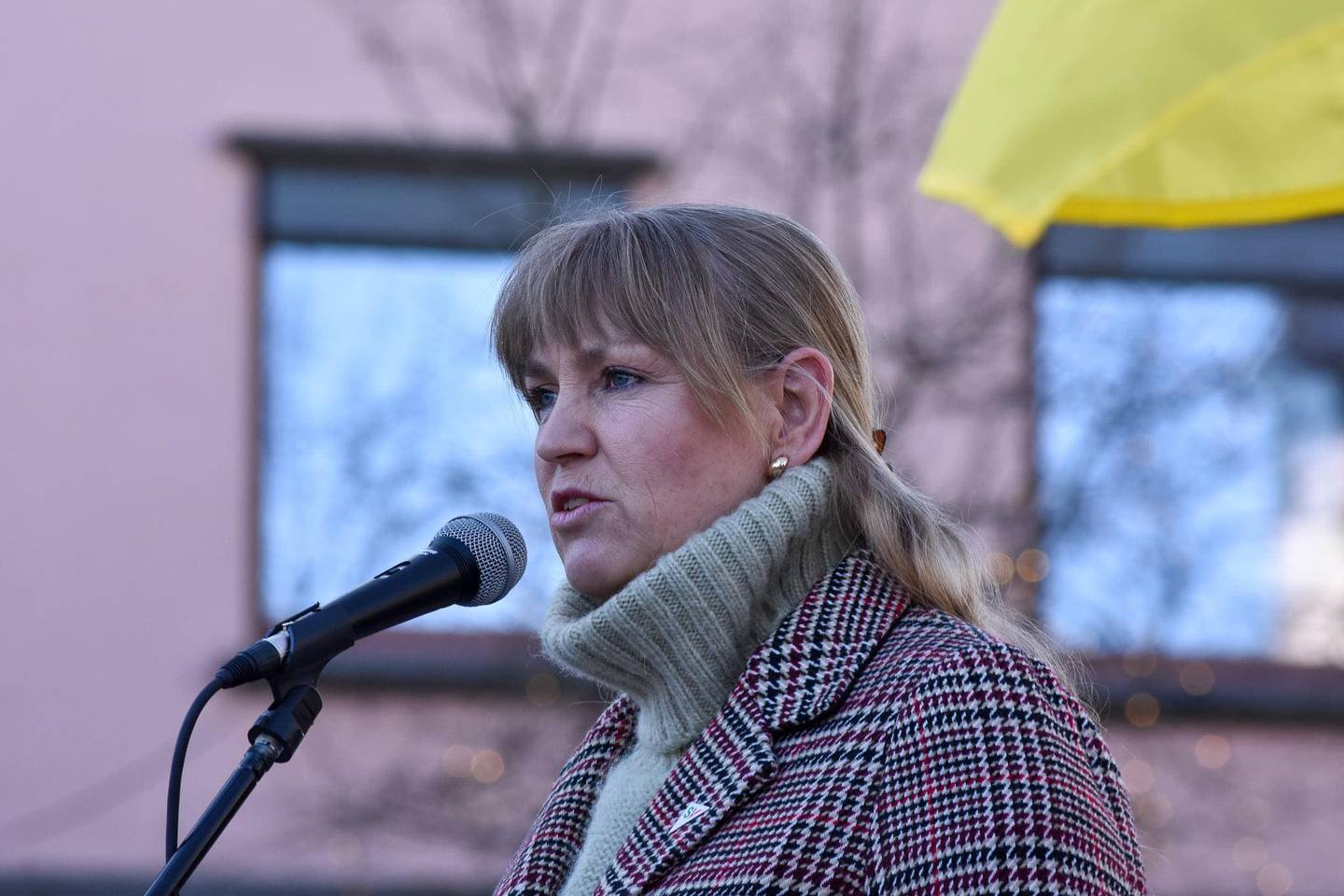 Grete Wold, innvandringspolitisk talsperson for SV