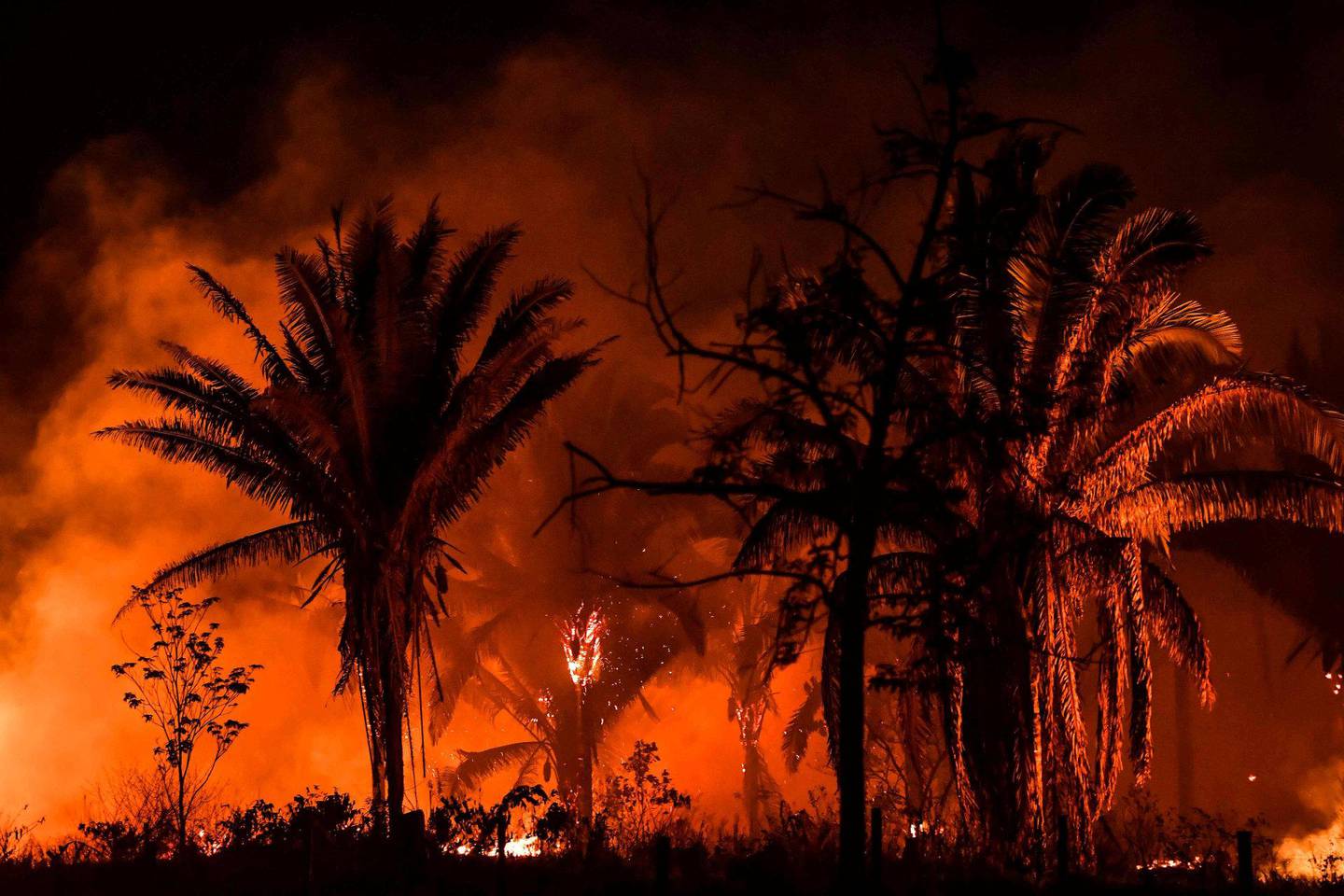 En skogbrann i delstaten Para i Brasil, avbildet i september. FOTO: NELSON ALMEIDA/NTB SCANPIX
