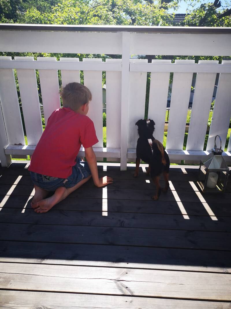 Gutt og hund kikker ut mellom verandagjerde.