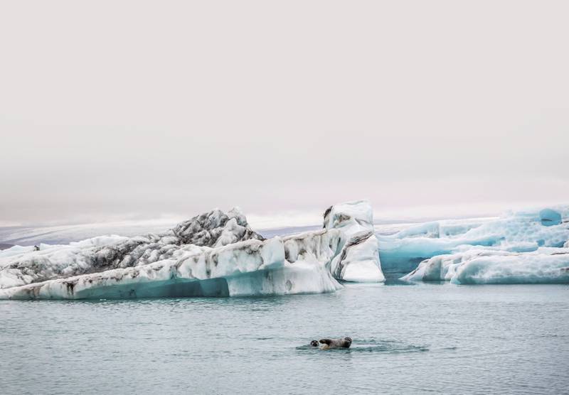 Verdens land klarer ikke å hindre isen i Arktis i å smelte. FOTO: SHAIITH/ISTOCK