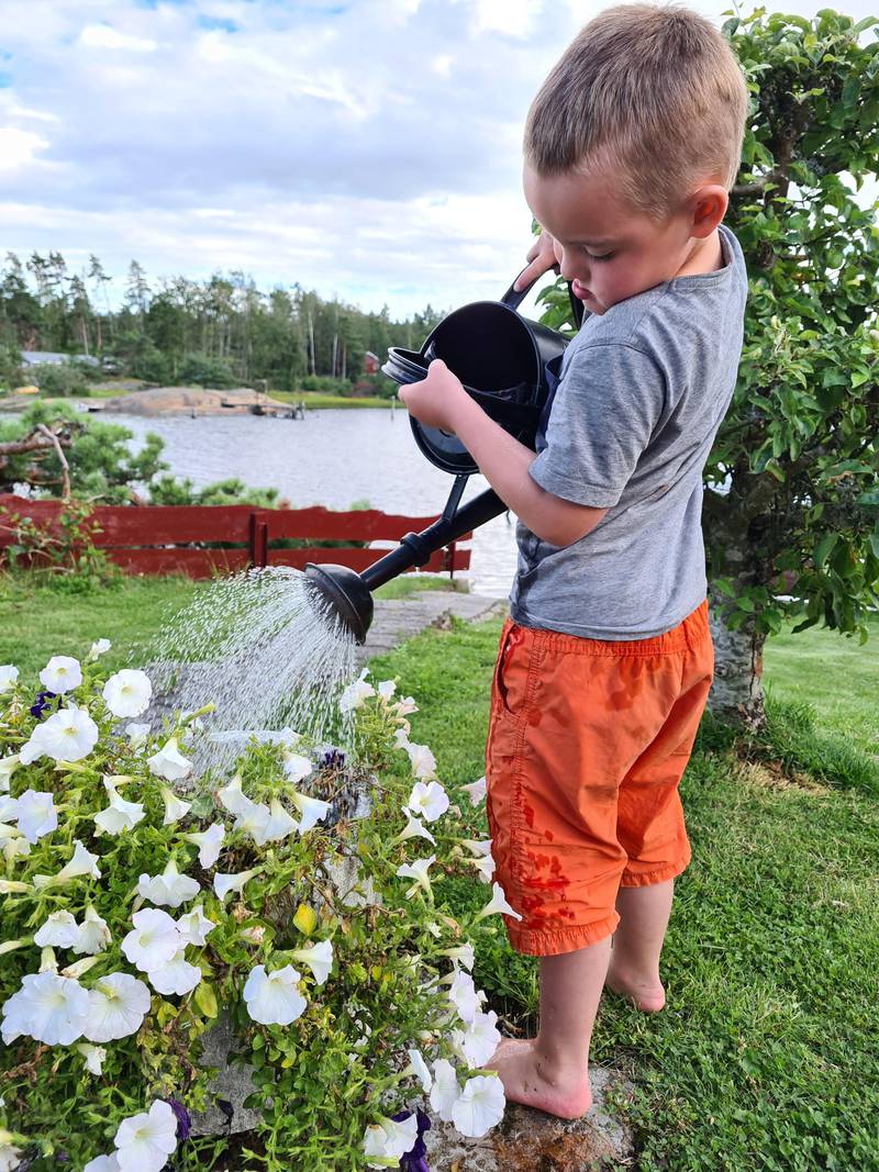Torvald vanner blomstene til bestefar på hytta i Bjørnevågen.