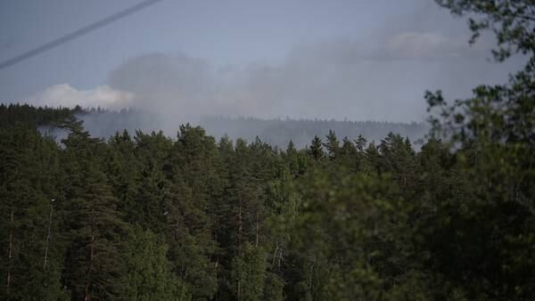 Ber folk holde seg unna skogbrann i Østmarka