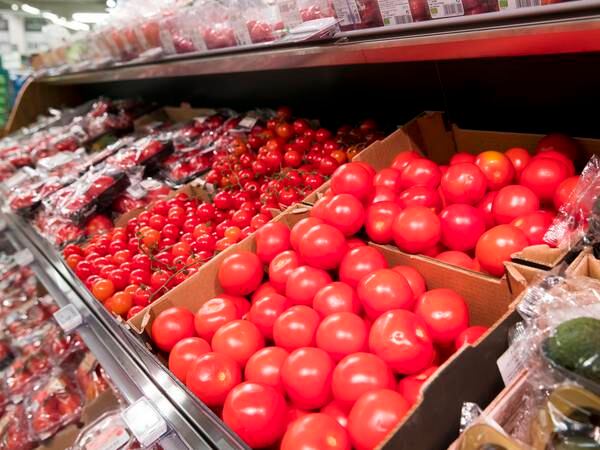 Om lag hver tredje tomatbonde vil legge ned i år