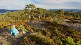 Turtips: Med panoramautsikt fra Høgås