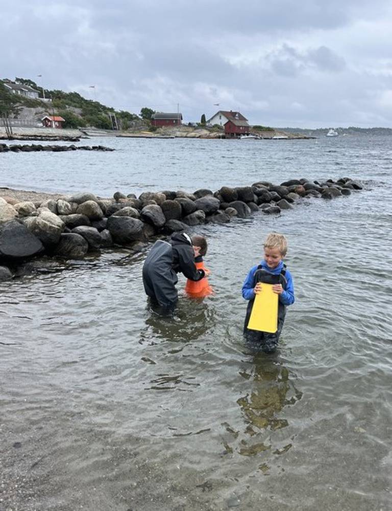 Barn som forsker i fjæra på Skjærhalden på invitasjon fra besøkssenteret i Ytre Hvaler nasjonalpark.