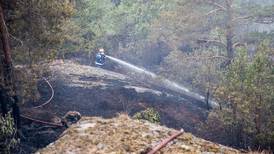Kraftig økning i skogbranner i fjor