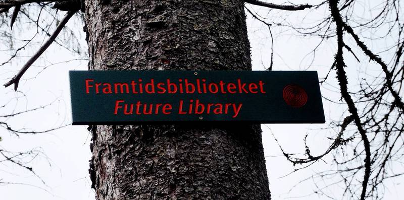 Halvannen kilometer fra Frognerseteren ligger Framtidsbibliotekets skog, hvor det dyrkes trær til trykking av hundre bøker i 2114.